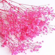 화연양화 프리저브드플라워 안개꽃 일반안개 9색 40~60cm, 03 핫핑크