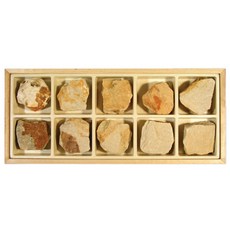 지학 편마암 표본 10개입 변성암 암석 과학교구 관찰수업 실험용