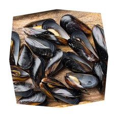 MN 홍합 3kg 냉동홍합