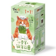 Eat's 易特廚 新鮮貓草雙拼組 (內含盆栽、盆栽蓋、土、小麥草種子(10g)、貓薄荷種子(約50顆)), 小麥草 + 貓薄荷, 1組