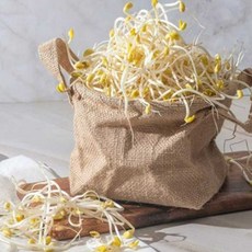 [BJMarket] 국내산 산소 콩나물 1kg 국산콩나물, 무농약 콩나물 1kg