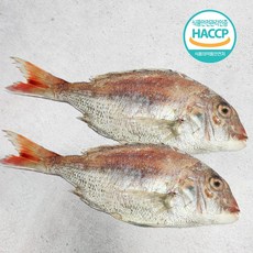 국내산 자연산 반건조 참돔 제수용 대 400g+400g, 2개