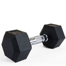 아령 홈트 20kg 고무 근력운동 스타 헬스 스쿼트 기구 VWB8668B