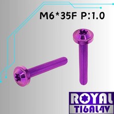 ROYAL 鈦合金螺絲 M6*35F P:1.0 飛碟頭螺絲, 1個