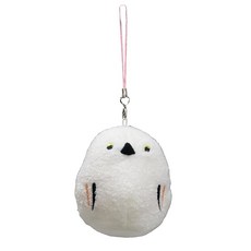 시나다 마메 후쿠 시마 에나가