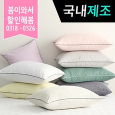 띵스룸 알러지케어100 M2 진드기방지 베개커버2P+베개솜 2P, 1개, 알러지100 그레이 베개커버2장+베개솜2장