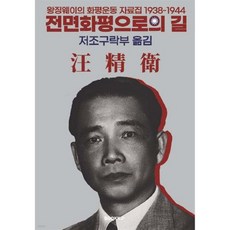전면화평으로의 길