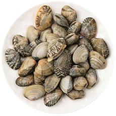 [대국맛짱] 냉동 생 피바지락 바지락 [일요일/당일발송], 1개, 3kg