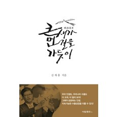 큰 새가 먼 길을 가듯이, 석탑출판, 김재홍 저