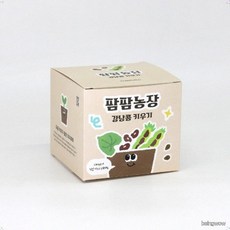 강낭콩 모종 화분 식물 키우기 교육자료 유치원 어린이집 체험 미니텃밭, 상세페이지 참조