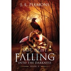 Last Light Falling - Into The Darkness Book II Hardcover, Blarney Stone Publishing