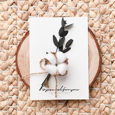 라솔트플라워 프리저브드 플라워 카드, 코튼, 1개