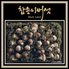 행정안전부 선정 최상급 답례품 면역 항암 참송이버섯 고급 명절 선물세트, 1세트