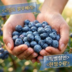 [특가할인]고당도 산지직송 국산 블루베리 11brix, 1개, 100g