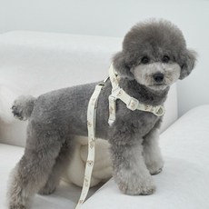 베일리펫 강아지 웨빙 경량 산책 가슴줄 테디 워키 하네스, 아이보리 아이보리