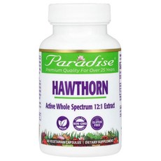 파라다이스허브 호손 산사나무열매추출물 250mg 60캡슐 Hawthorn, 1개, 60정