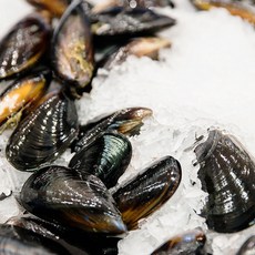 산지 제철 통영 세척 홍가리비 조개 새우구이 손질바다장어 외, 세척 홍합2kg, 1개