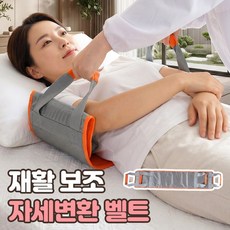 로니베이 자세변환 벨트 환자 일으키는 노인 자세변경 기립 시트, 퓨어그레이, 1개