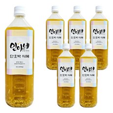 [연아네] 수제 단호박 식혜, 6개, 1L