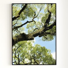 [아트밀] 쉼이 있는 여행사진 액자 90종 - 47 바움, 1 (소형) A4액자_샴페인골드, 샴페인골드