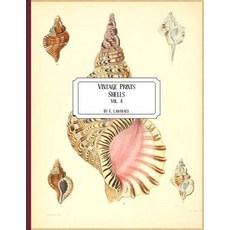 (영문도서) Vintage Prints: Shells: Vol. 4 Paperback, Createspace Independent Pub..., English, 9781727185119
