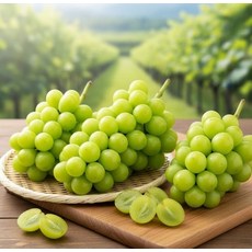 동명팜 청량아삭 샤인머스캣 사과향 애플 청포도 어텀크리스피, 1박스, 500g