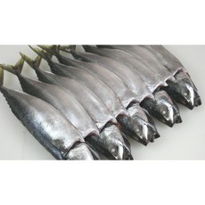 부산 자반고등어 특대사이즈 10마리 간고등어, 1개, 3.2kg~3.5kg