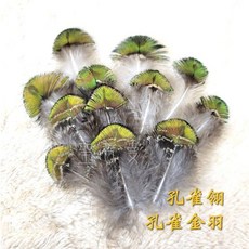 孔雀翎/孔雀金羽/孔雀藍羽毛/孔雀花羽 自然脫落孔雀羽毛 孔雀羽毛 儀式羽毛 風元素/逗貓道具/逗貓棒材料 聖哲曼, 1個, 孔雀金羽 4支100元