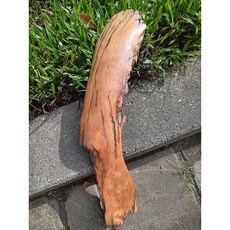 北部肖楠 風化倒格天雕老料 殼 非常重油 天然有形獨一無二 擺件插件 送禮 台灣肖楠 復興 三峽 滿月圓, 1個