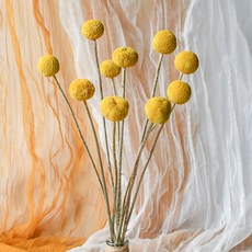 黃金球金槌花幹花花束裝飾擺件真花插花幹燥永生花尤加利葉滿天星 乾花 永生花 客廳裝飾 DIY 手工 禮品盒裝飾, 10支黃金球