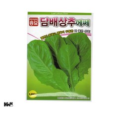 담배상추 씨앗 샐러드씨앗 상추키우기 옥상텃밭