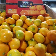 팜스데일리 제주도 하우스 밀감 감귤 과일 박스 1.5kg, 1박스, 1kg