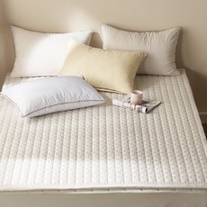 국내제조 띵스룸 알러지케어100% M2 진드기방지 사계절용 고정밴드 침대패드, 알러지100 베이지