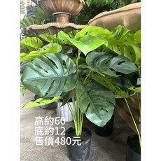 仿真龜背葉盆栽 裝飾佈置, 1個