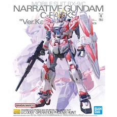 MG/1-100/RX-9/C (내러티브 건담 C형태 Ver. Ka), 1개