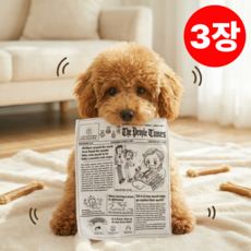 해피퍼피 강아지 장난감 바스락북 소리나는 신문지 이갈이 스트래스 해소, 3개, 화이트&블랙