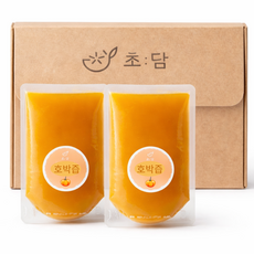 초담 수제 늙은호박즙 비법달임액으로 만든 정제수 무첨가 국내산 호박진액, 15개, 100ml