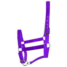 Jeffers Equine 조절 가능한 나일론 말 홀터 - 풀 사이즈 버클 크라운 및 노즈밴드가 있는 더블 플라이 웨빙 드래프트 크로스 쿼터 호스 - 그루밍 훈련 헛간, 퍼플