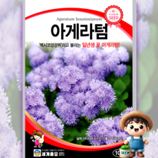 아게라텀 100립 원예 관상 조경 화단 용 꽃 씨 씨앗 종자 세계종묘, 1개
