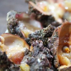 신선한 남해안 자연산 돌멍게 1kg (6~10미), 1개, 돌멍게 1kg 6-10미