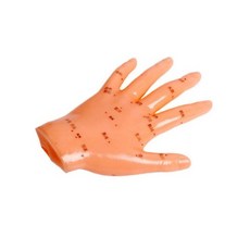 CPR마네킹 진산 손경혈 13cm PVC CPR심폐소생술 응급처치교육 응급처치실습 인체모형, 1개