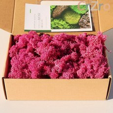 모나코플라워 모스이끼 핫핑크 200g 테라리움 조경 화분장식