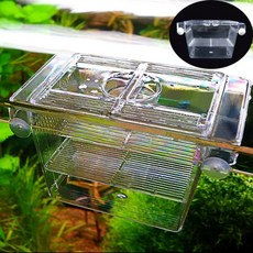 부화통 구피 치어 열대어 격리통 어항 수족관roo4+3udO