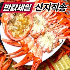 [선주직송] 포항 구룡포 자숙 박달홍게 연지홍게 홍게 3kg 6kg, 1박스, 자숙연지홍게3kg(수율70%내외8-12마리)