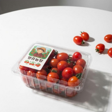당도선별 산지직송 대추 방울토마토 (당일수확/무료배송), 1개, [맛보기] 500g 1개 (체험용)