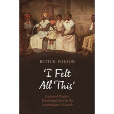 (영문도서)'I Felt All This': Enslaved People's Emotional Lives in the Antebellum Us South Hardcover, Cambridge University Press, English, 9781009709408 Cambridge University Press, English, 9781009709408