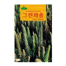 와송 씨앗 5000립, 1개