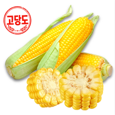 프리미엄 특품 애플초당옥수수, 10개, 특사이즈