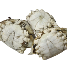 [국내산100% 연평도산] 실속상품 급냉 최상 알배기 몽당 암꽃게, 가을 암몽당(알수율 50%~60%), 1개, 1kg