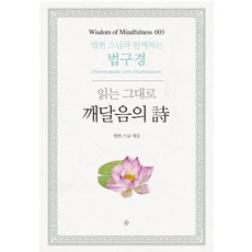 soom 讀即開悟之詩：與法顯法師一同學習法句經, 法顯法師